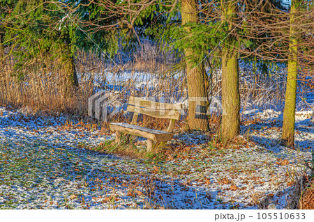 Image of a wooden bench in a winter forest Image of a small river course in a forest with reflections in the evening light Image of a wooden bench in a winter forest Image of a small river course in a forest with reflections in the evening light 105510633