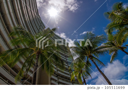 ハワイの風景【リゾートホテル・太陽・ヤシの木】 ハワイの風景【リゾートホテル・太陽・ヤシの木】 105511699