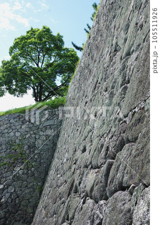 大手門左から見る松坂城址二ノ丸の石垣 大手門左から見る松坂城址二ノ丸の石垣 105511926
