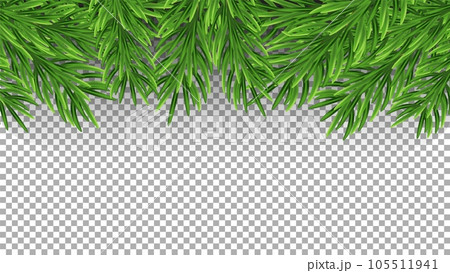 Fir tree branches pattern. Christmas background with green pine branch By  Microvector