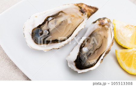 Tasty oysters with lemon on plate top view Tasty oysters with lemon on plate top view 105513308