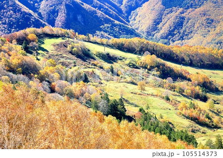 山田牧場の紅葉 105514373