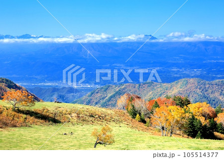 山田牧場の紅葉 105514377