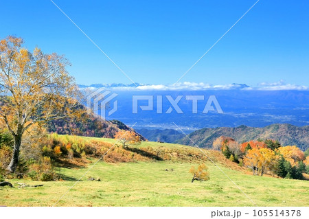 山田牧場の紅葉 105514378