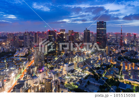 《東京都》深夜の東京都市風景・夜明け前 105515038