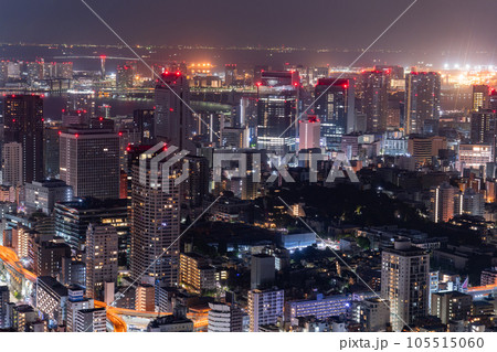 《東京都》深夜の東京都市風景 105515060