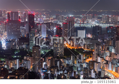 《東京都》深夜の東京都市風景 105515061