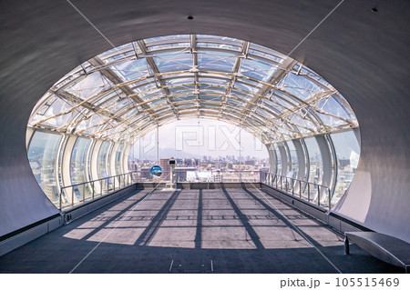 札幌ドーム 105515469