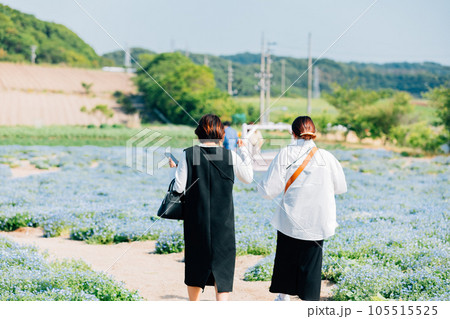 一面のネモフィラの花畑と若い女性 一面のネモフィラの花畑と若い女性 105515525