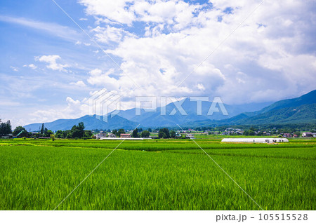 夏の安曇野 穂高の風景 夏の安曇野 穂高の風景 105515528