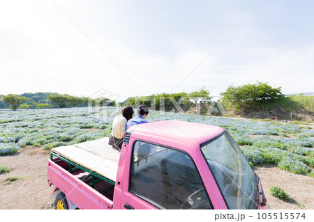 ネモフィラの花畑とカップルとピンクの軽トラ ネモフィラの花畑とカップルとピンクの軽トラ 105515574
