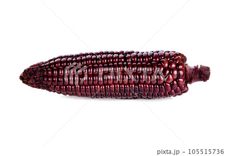 purple corn isolated on a white background 105515736