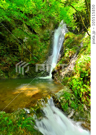 《岐阜県》川辺町　新緑映える南天の滝 105515850