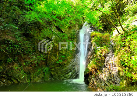《岐阜県》川辺町 新緑映える南天の滝 《岐阜県》川辺町 新緑映える南天の滝 105515860