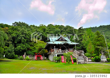 《岐阜県》各務原市　新緑の成田山貞照寺 105515992