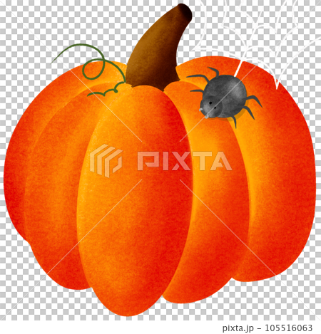 Halloween party. Pumpkin and spider. Halloween party. Pumpkin and spider. 105516063