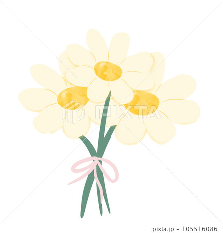 Daisy flower Daisy flower 105516086