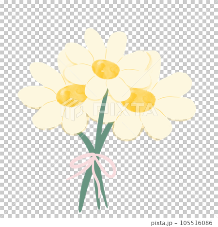 Daisy flower Daisy flower 105516086
