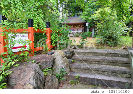 新熊野神社 京の熊野古道入口(京都市東山区) 新熊野神社 京の熊野古道入口(京都市東山区) 105516100