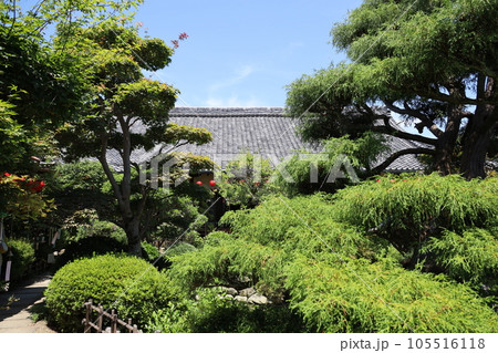 新緑が美しい、庭園の庭　おふせ観音 105516118