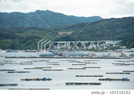 三陸の山田湾に広がる牡蠣、ホタテの養殖場 三陸の山田湾に広がる牡蠣、ホタテの養殖場 105516282
