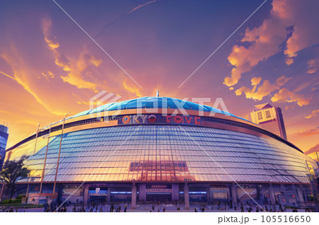 AI画像 東京ドームのイメージ AI画像 東京ドームのイメージ 105516650