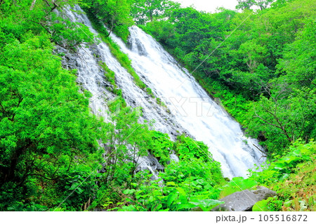 北海道紀行　　新緑のオシンコシンの滝 105516872