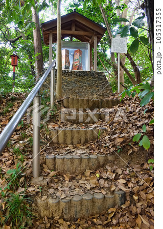 新熊野神社 京の熊野古道（京都市東山区） 105517355