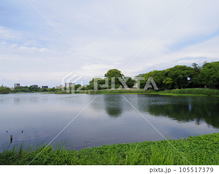 江津湖(熊本県熊本市) 105517379