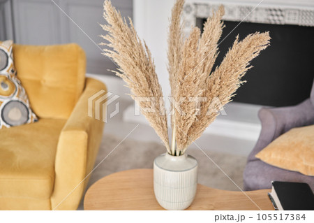 Pampas grass in vase. Stylish Scandinavian modern lighter cozy eco interior in minimalist style.Modern home decor. Open space.  105517384