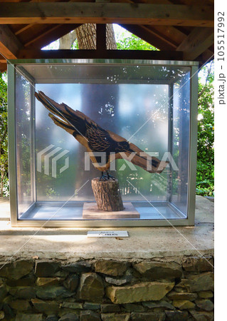 新熊野神社 京の熊野古道(京都市東山区) 新熊野神社 京の熊野古道(京都市東山区) 105517992