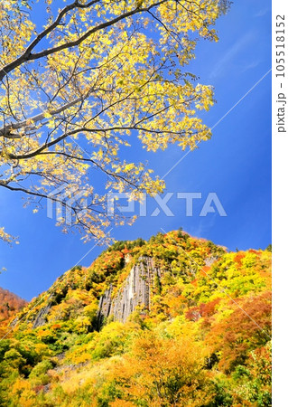 秋山郷・布岩の紅葉 105518152