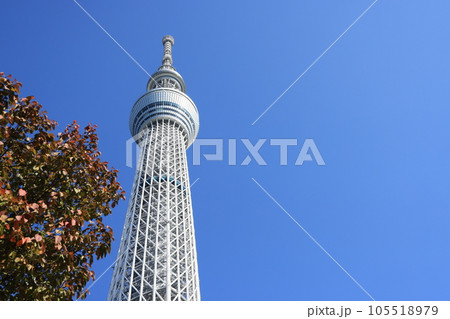 秋の青空に建つ東京スカイツリーの風景 105518979