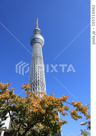 秋の青空に建つ東京スカイツリーの風景 105518982