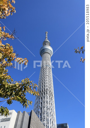 秋の青空に建つ東京スカイツリーの風景 105518983