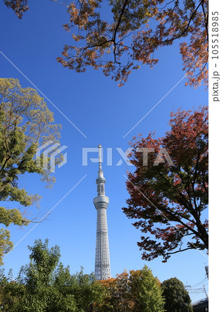 秋の青空に建つ東京スカイツリーの風景 秋の青空に建つ東京スカイツリーの風景 105518985