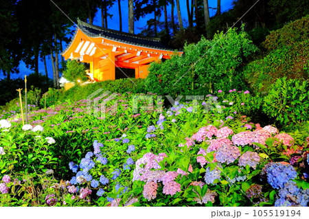 三室戸寺 105519194