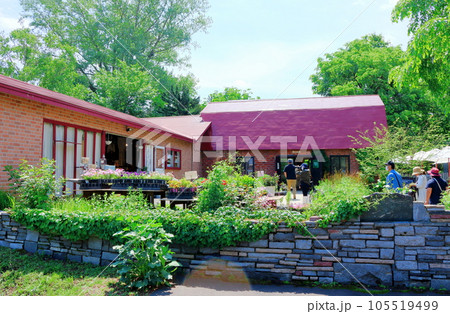 北海道紀行　6月の上野ファーム　午前のガーデン 105519499