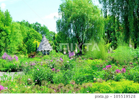 北海道紀行　6月の上野ファーム　午前のガーデン 105519528
