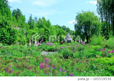 北海道紀行 6月の上野ファーム 午前のガーデン 北海道紀行 6月の上野ファーム 午前のガーデン 105519530