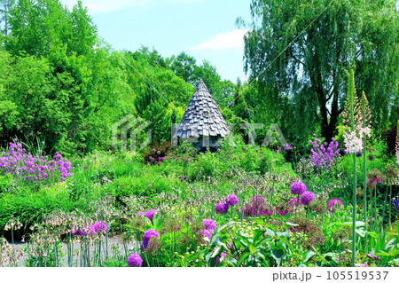 北海道紀行　6月の上野ファーム　午前のガーデン 105519537