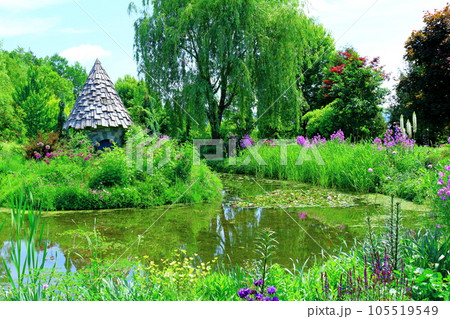 北海道紀行　6月の上野ファーム　午前のガーデン 105519549