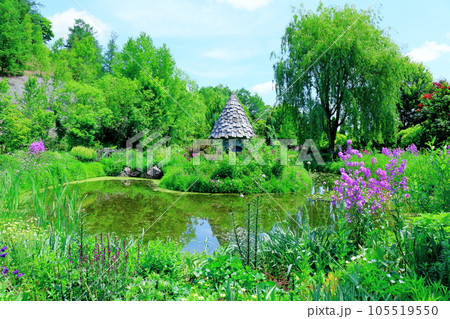 北海道紀行 6月の上野ファーム 午前のガーデン 北海道紀行 6月の上野ファーム 午前のガーデン 105519550