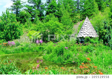 北海道紀行　6月の上野ファーム　午前のガーデン 105519558