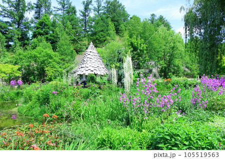 北海道紀行　6月の上野ファーム　午前のガーデン 105519563