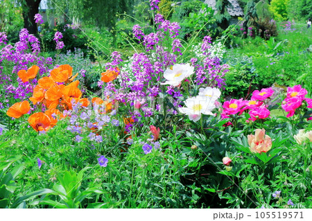 北海道紀行 6月の上野ファーム 午前のガーデン 北海道紀行 6月の上野ファーム 午前のガーデン 105519571