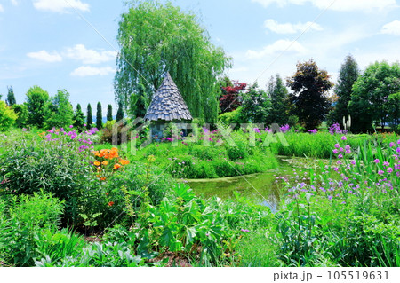 北海道紀行　6月の上野ファーム　午前のガーデン 105519631