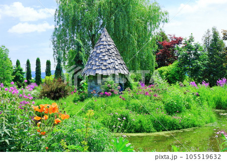 北海道紀行　6月の上野ファーム　午前のガーデン 105519632
