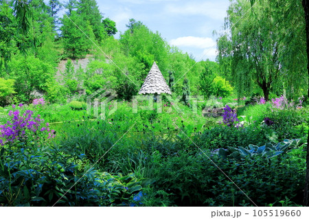 北海道紀行　6月の上野ファーム　午前のガーデン 105519660