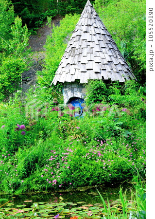 北海道紀行　6月の上野ファーム　午後のガーデン 105520190